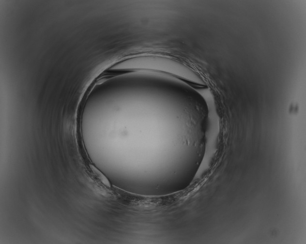 X0000089930148200707131439