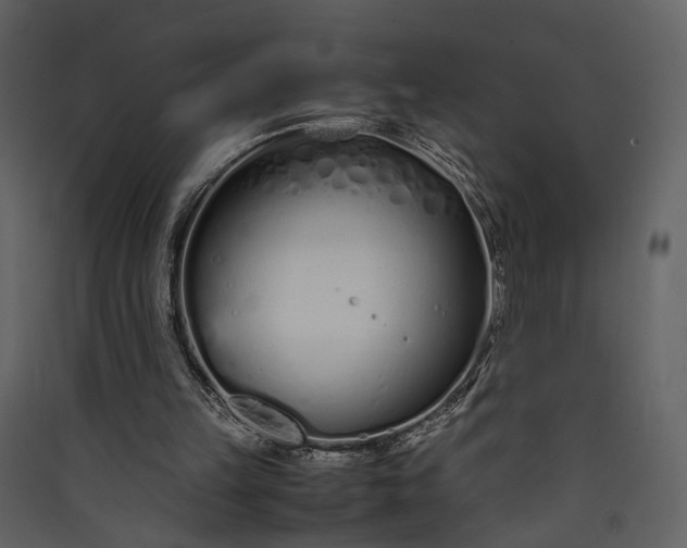 X0000089930149200707131439