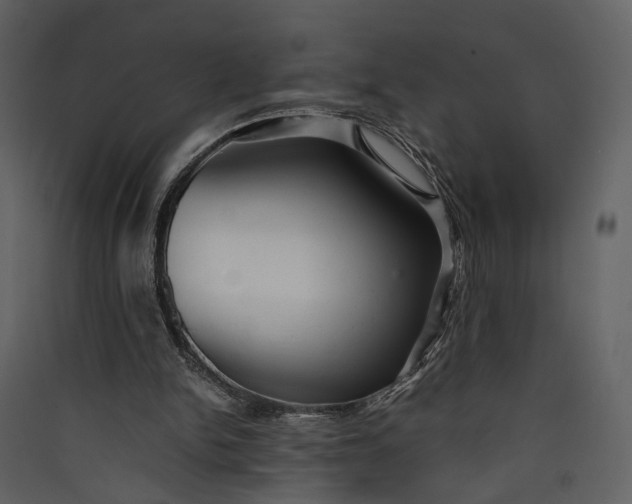 X0000089930150200707131439