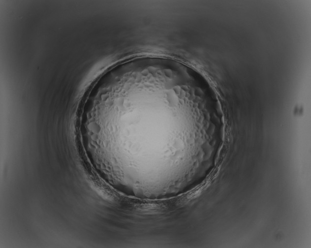 X0000089930151200707131439