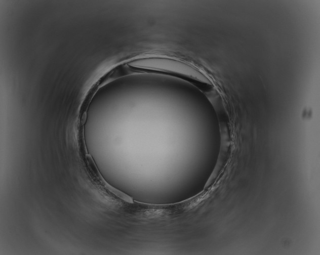 X0000089930152200707131439