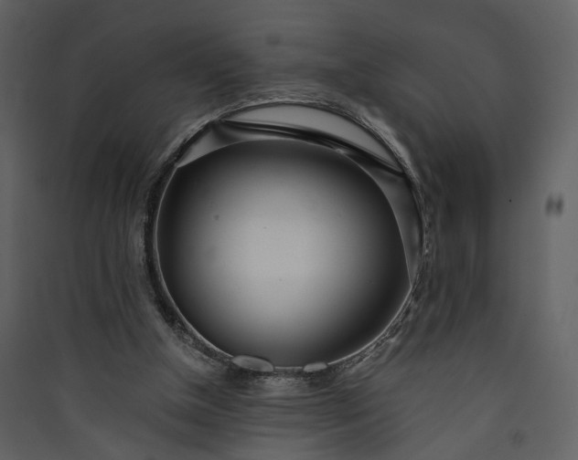 X0000089930154200707131439