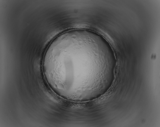 X0000089930155200707131439