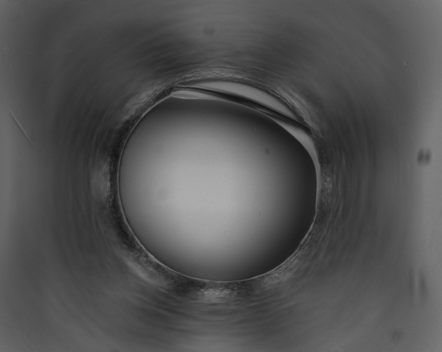 X0000089930158200707131439