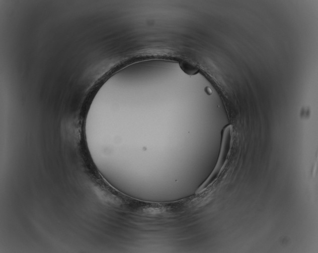 X0000089930160200707131439