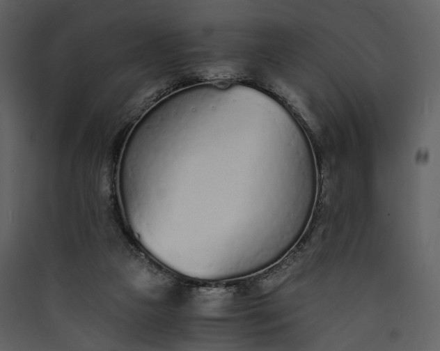 X0000089930161200707131439