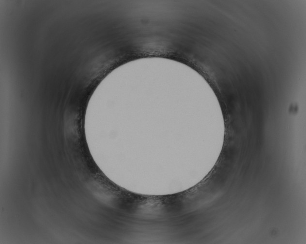 X0000089930162200707131439