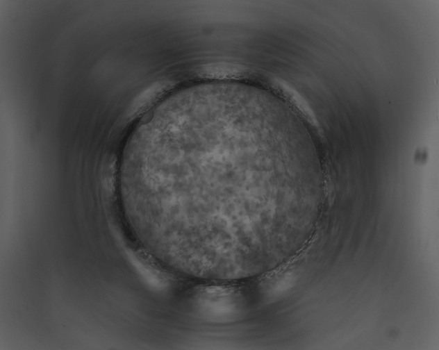 X0000089930163200707131439