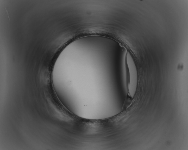 X0000089930164200707131439