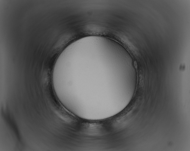 X0000089930165200707131440