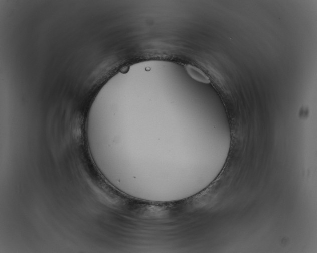 X0000089930166200707131440