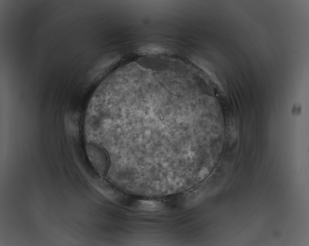 X0000089930167200707131440