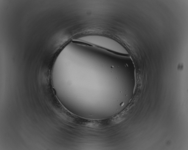 X0000089930168200707131440