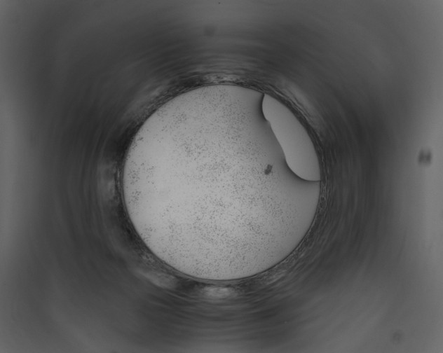 X0000089930169200707131440