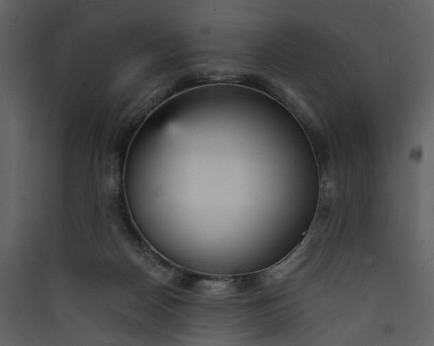 X0000089930170200707131440