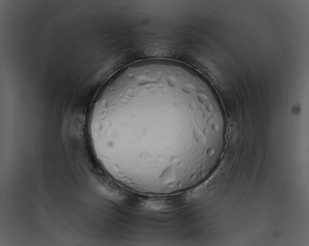 X0000089930171200707131440