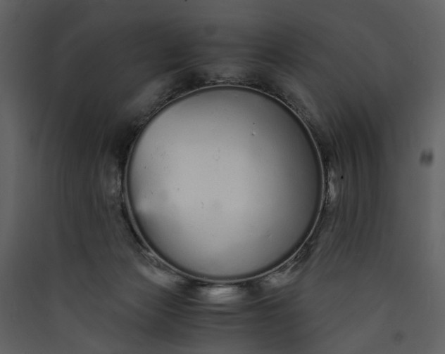 X0000089930173200707131440