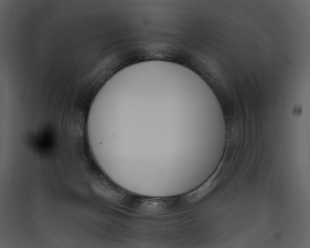 X0000089930174200707131440