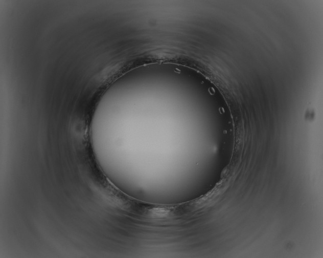 X0000089930176200707131440