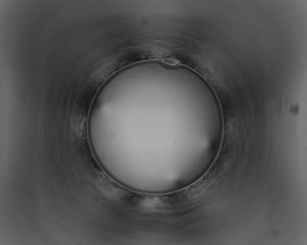 X0000089930177200707131440