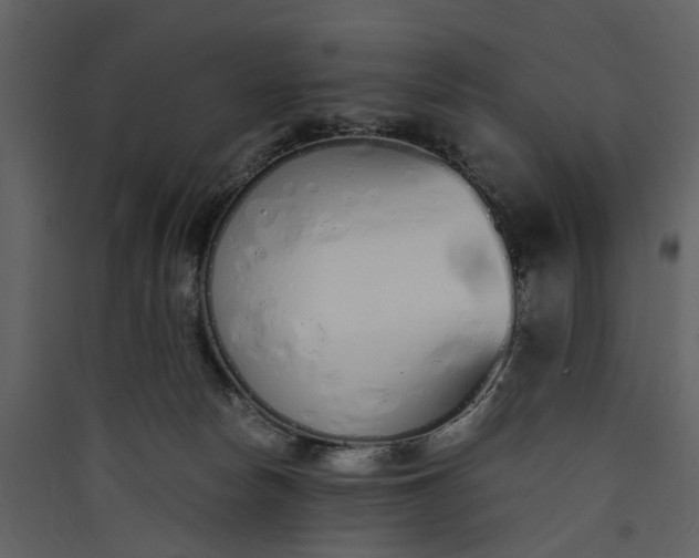 X0000089930178200707131440