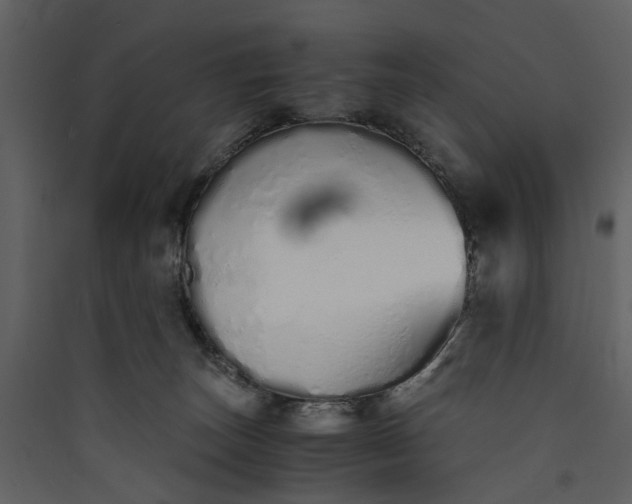 X0000089930179200707131440