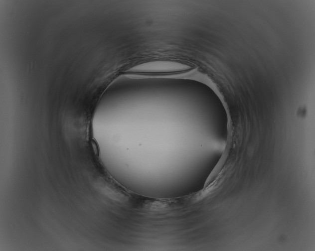 X0000089930180200707131440