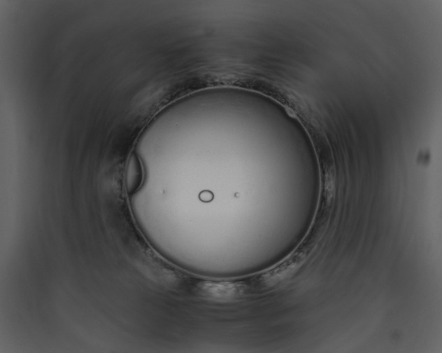 X0000089930181200707131440