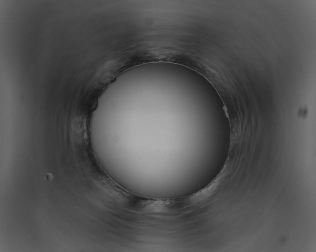 X0000089930182200707131440