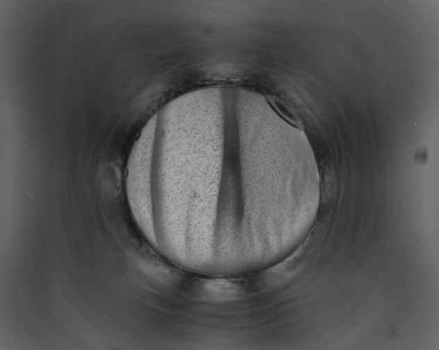 X0000089930183200707131440