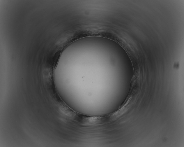 X0000089930184200707131440