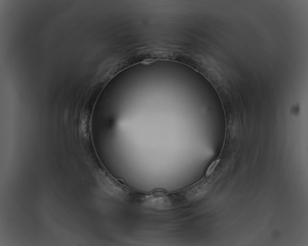 X0000089930185200707131440