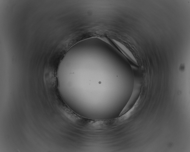 X0000089930186200707131440