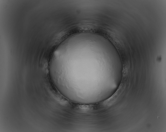 X0000089930187200707131440