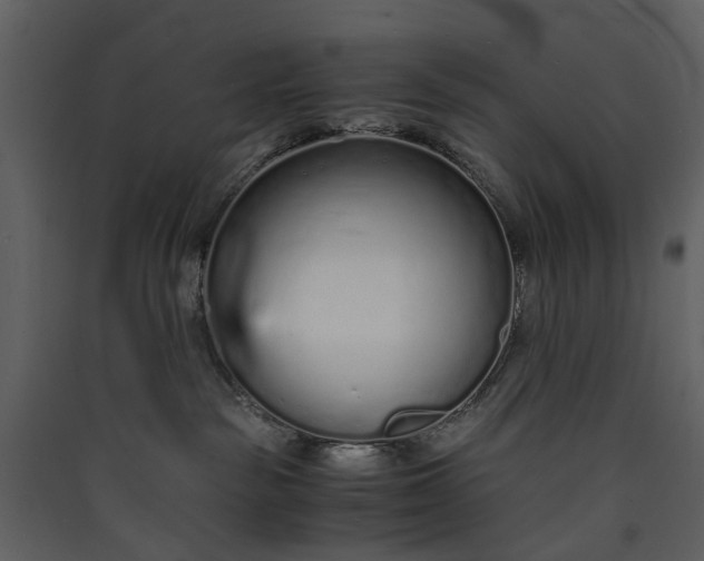 X0000089930189200707131440