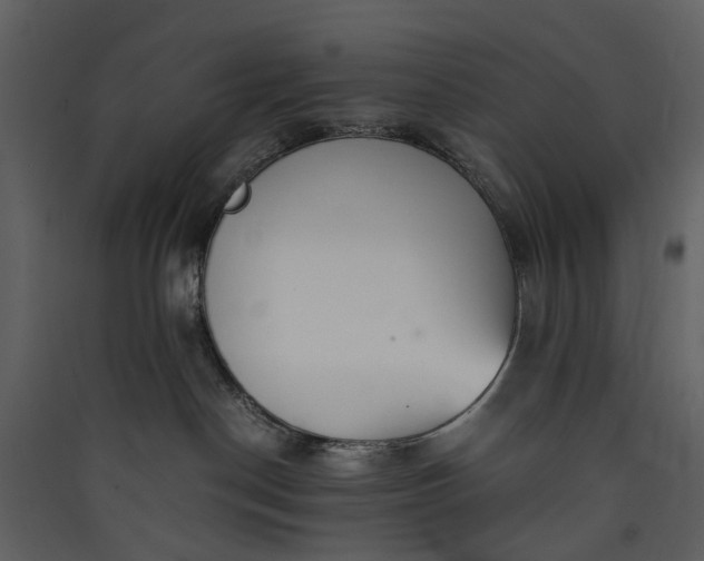 X0000089930190200707131440