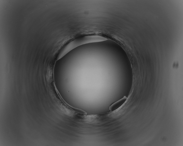 X0000089930192200707131440