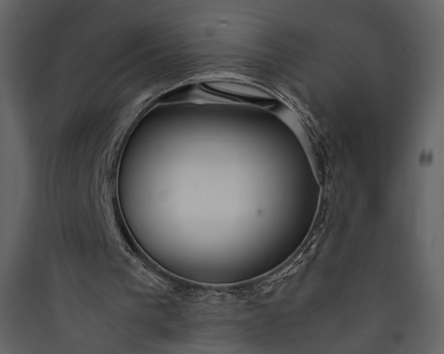 X0000089930193200707131439