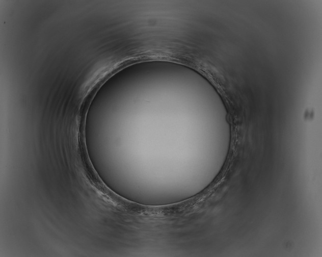 X0000089930194200707131439