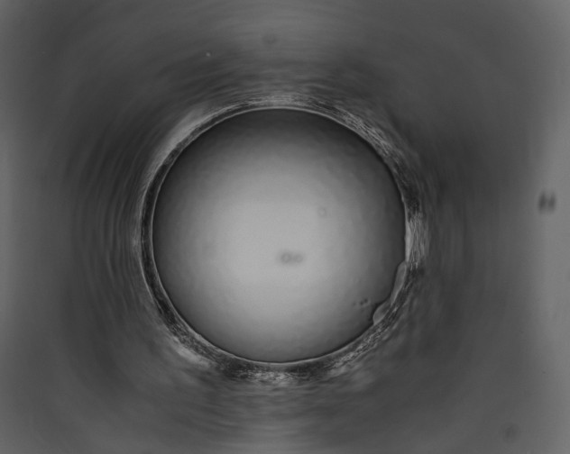 X0000089930195200707131439