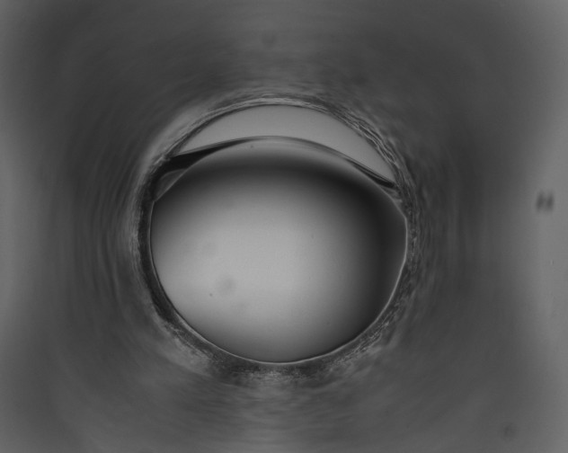 X0000089930197200707131439