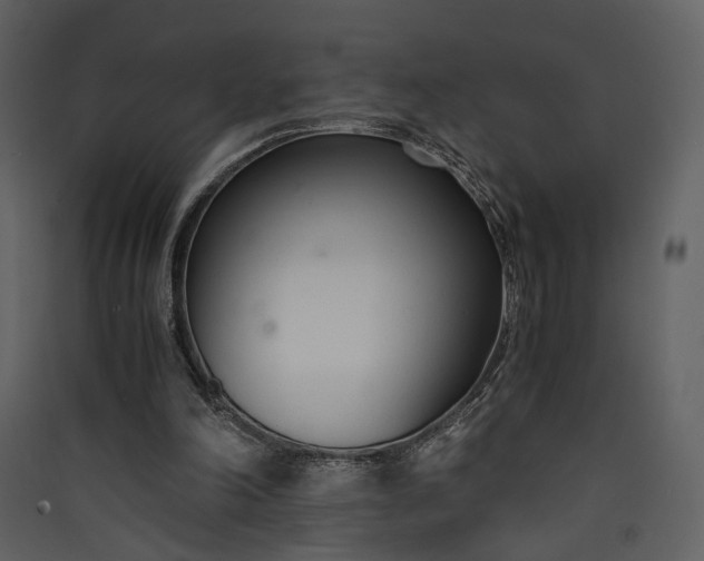 X0000089930198200707131439