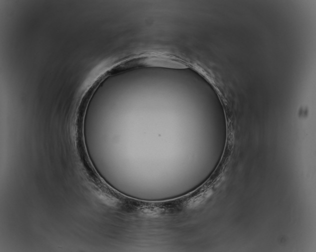 X0000089930199200707131439