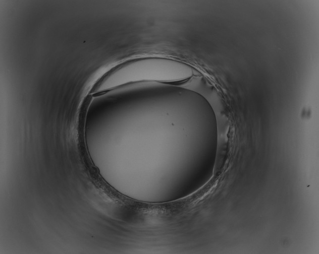 X0000089930200200707131439