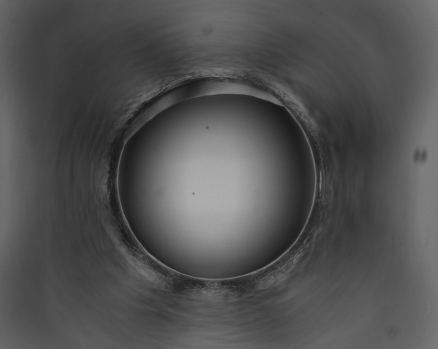 X0000089930201200707131439