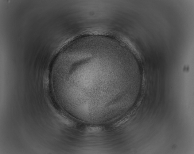 X0000089930202200707131439