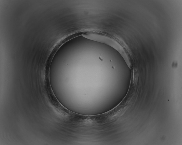 X0000089930204200707131439