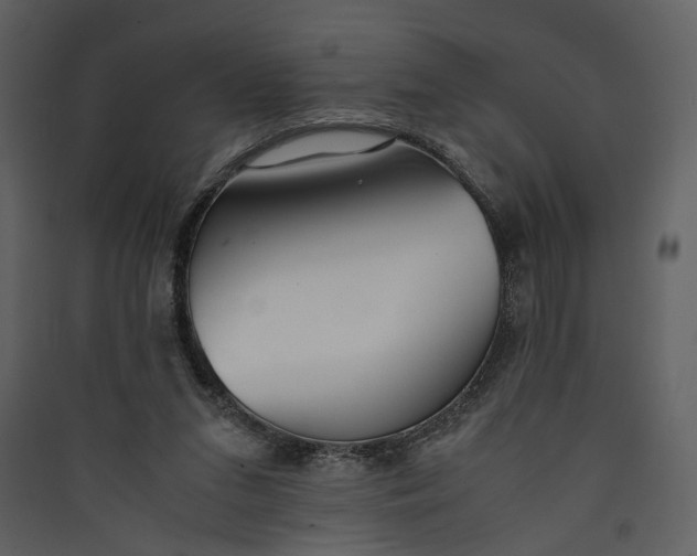 X0000089930207200707131439