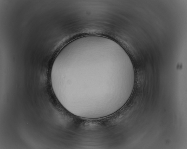 X0000089930208200707131439