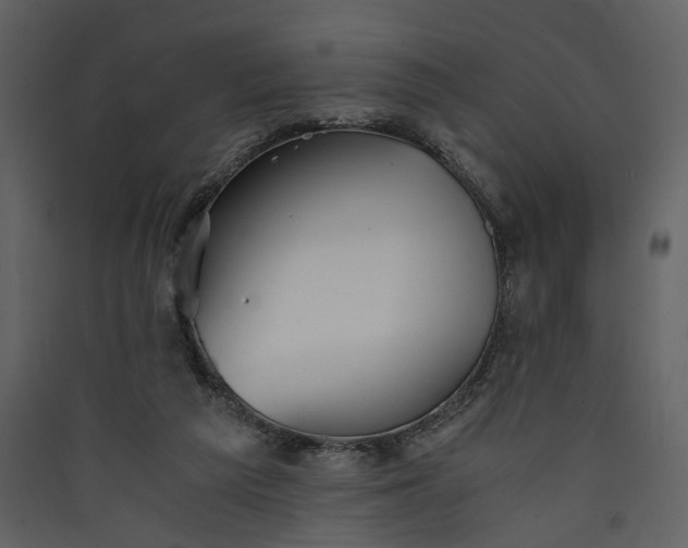 X0000089930209200707131439